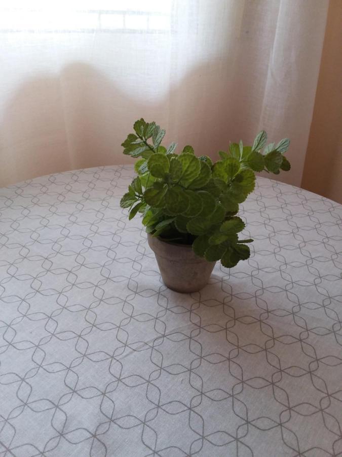 Carlo Hospedaje Alicante Zewnętrze zdjęcie